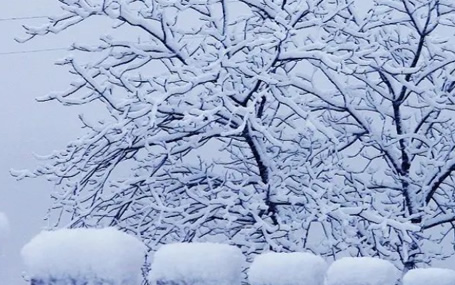 5G急診急救/急診急救大平臺天榮醫療-凍雨+雪來襲，注意出行安全！